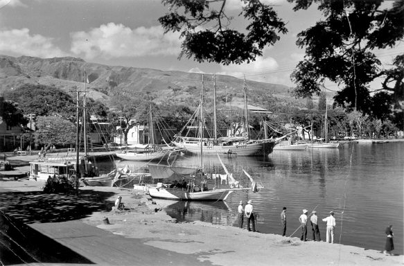  Papeete harbor 